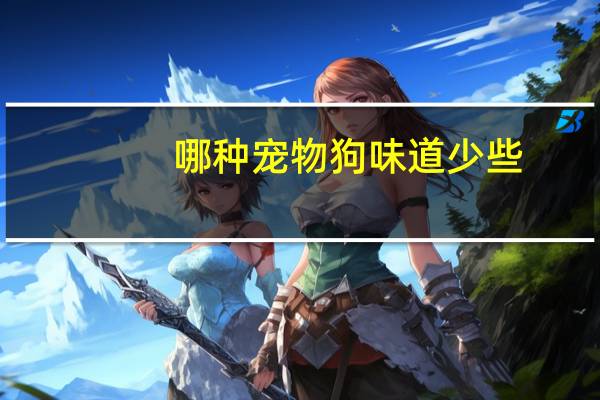 哪种宠物狗味道少些