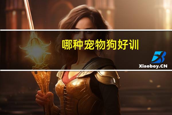 哪种宠物狗好训