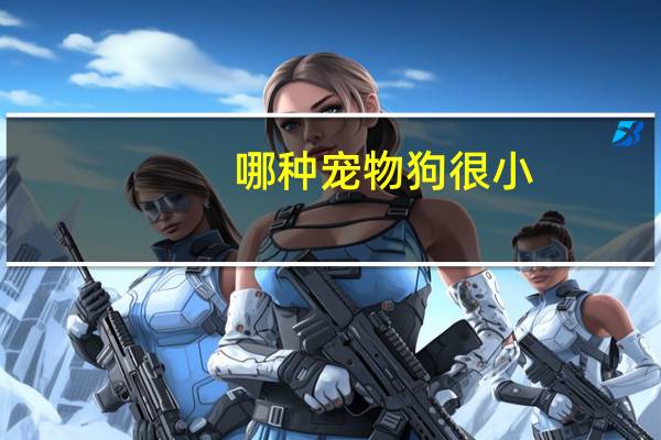哪种宠物狗很小