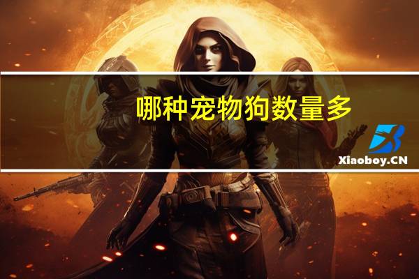 哪种宠物狗数量多