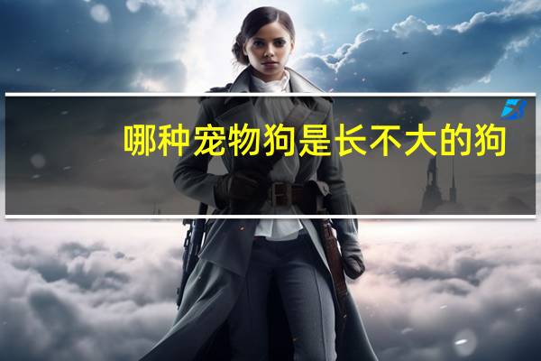 哪种宠物狗是长不大的狗