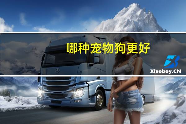 哪种宠物狗更好