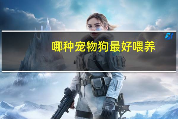 哪种宠物狗最好喂养