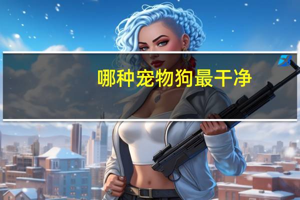 哪种宠物狗最干净