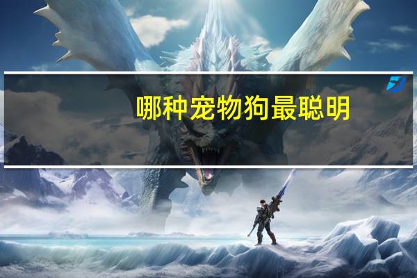 哪种宠物狗最聪明