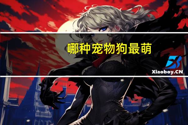 哪种宠物狗最萌