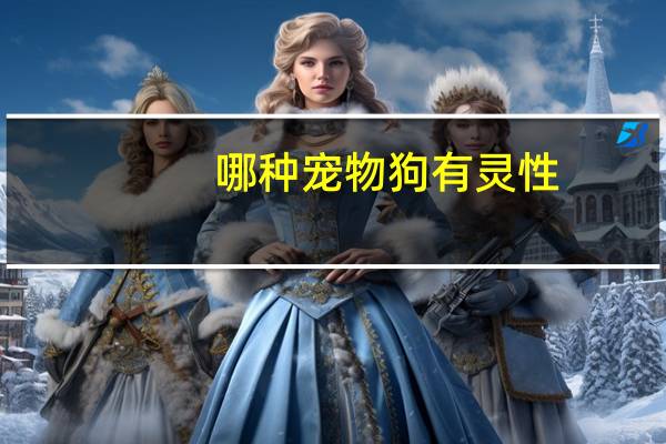 哪种宠物狗有灵性