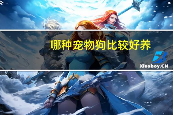 哪种宠物狗比较好养