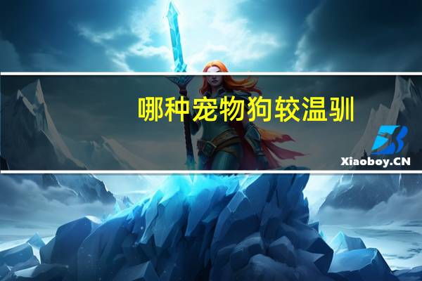 哪种宠物狗较温驯