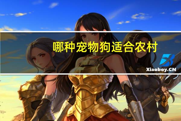 哪种宠物狗适合农村