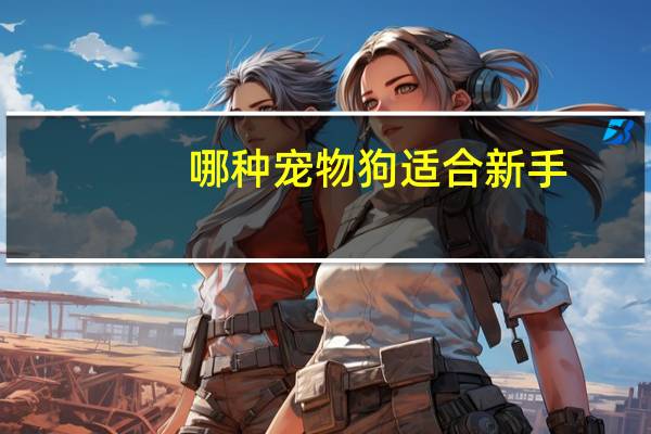 哪种宠物狗适合新手