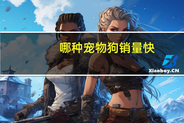 哪种宠物狗销量快