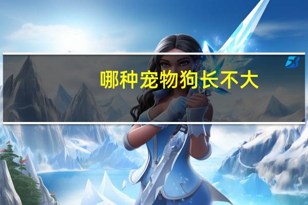 哪种宠物狗长不大