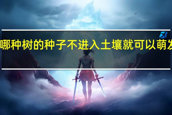 哪种树的种子不进入土壤就可以萌发生根