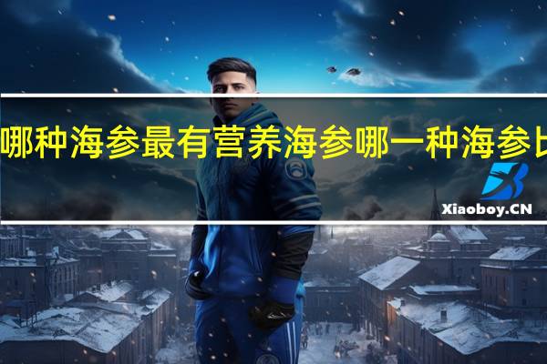 哪种海参最有营养 海参哪一种海参比较好