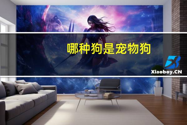 哪种狗是宠物狗