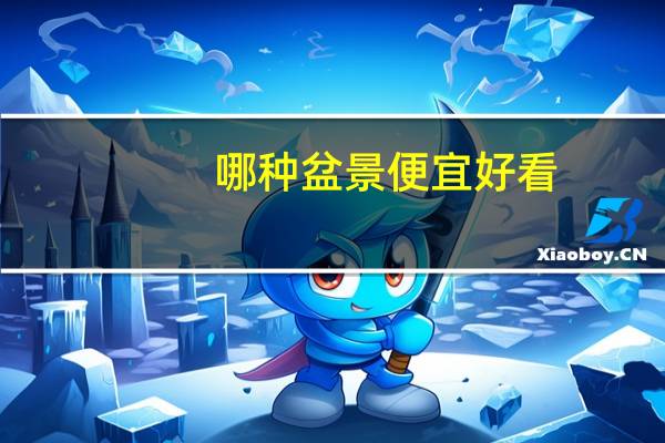 哪种盆景便宜好看