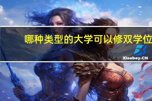 哪种类型的大学可以修双学位