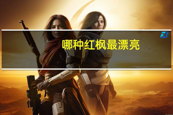 哪种红枫最漂亮