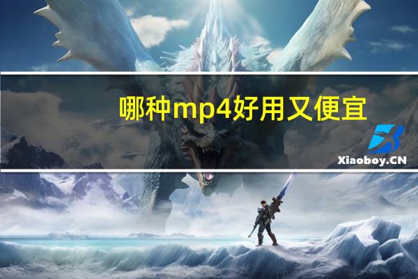 哪种mp4好用又便宜（哪种mp4好）