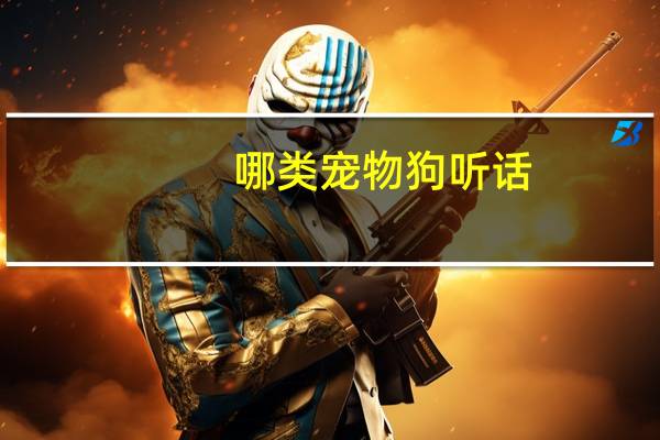 哪类宠物狗听话