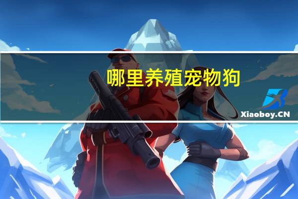 哪里养殖宠物狗