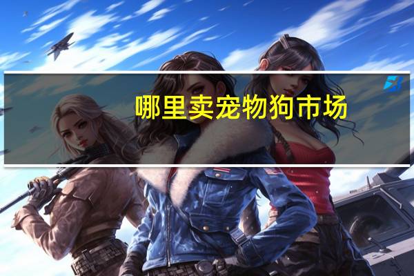 哪里卖宠物狗市场