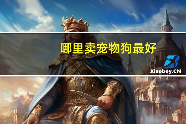 哪里卖宠物狗最好