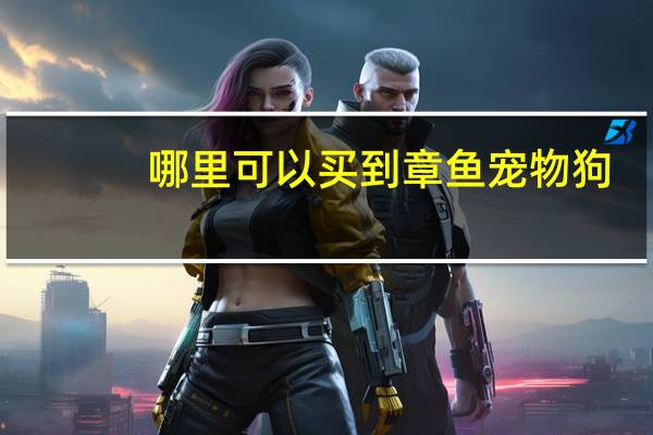 哪里可以买到章鱼宠物狗