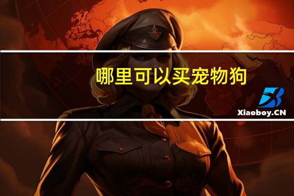 哪里可以买宠物狗