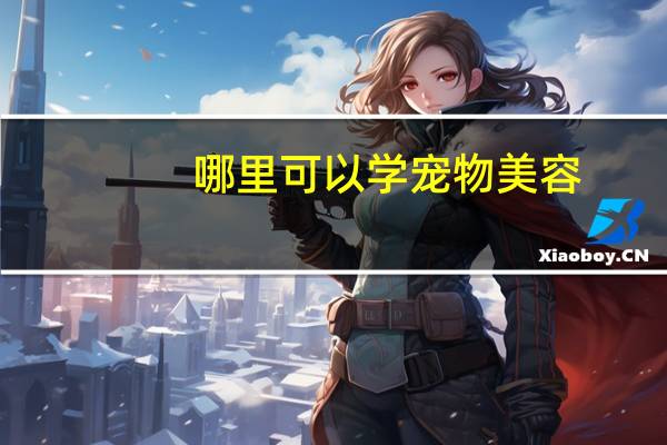 哪里可以学宠物美容