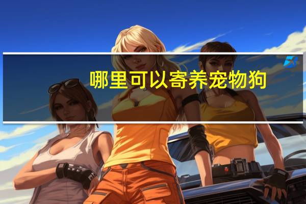 哪里可以寄养宠物狗