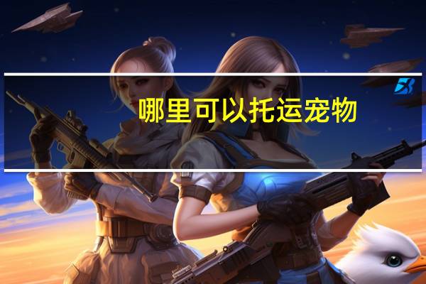 哪里可以托运宠物