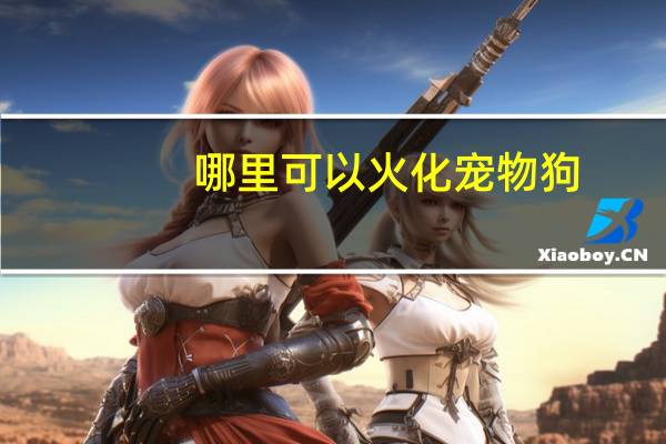 哪里可以火化宠物狗