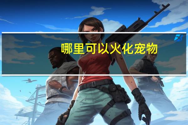 哪里可以火化宠物