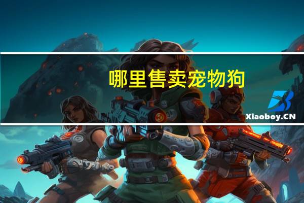 哪里售卖宠物狗
