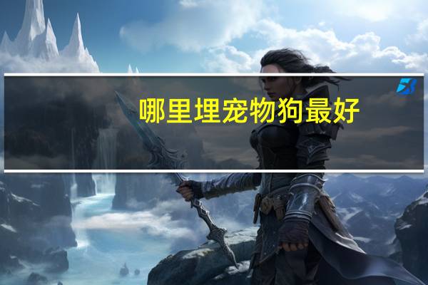 哪里埋宠物狗最好