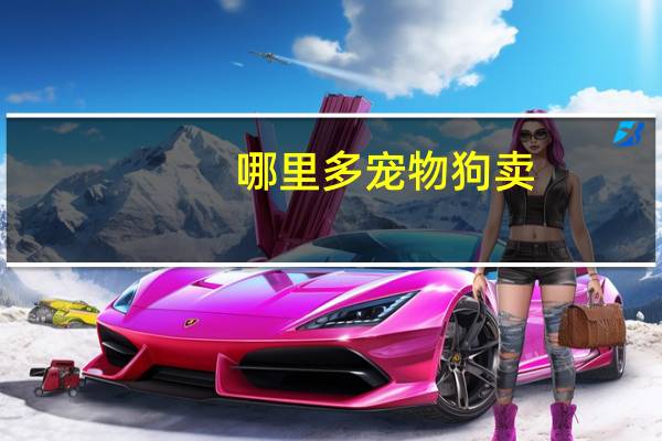 哪里多宠物狗卖