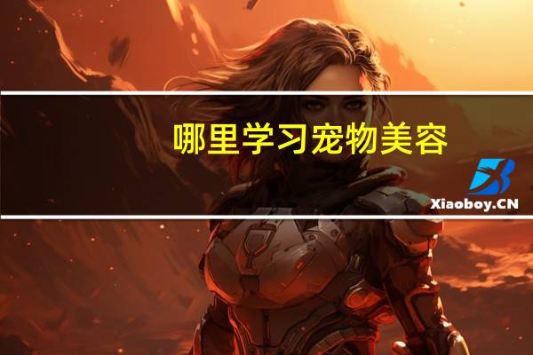 哪里学习宠物美容