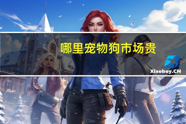 哪里宠物狗市场贵