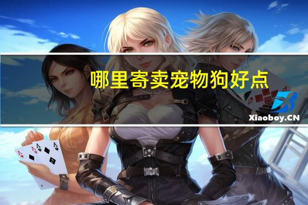 哪里寄卖宠物狗好点