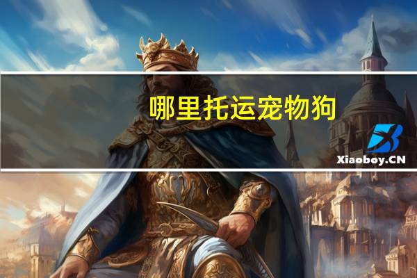 哪里托运宠物狗