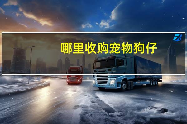 哪里收购宠物狗仔