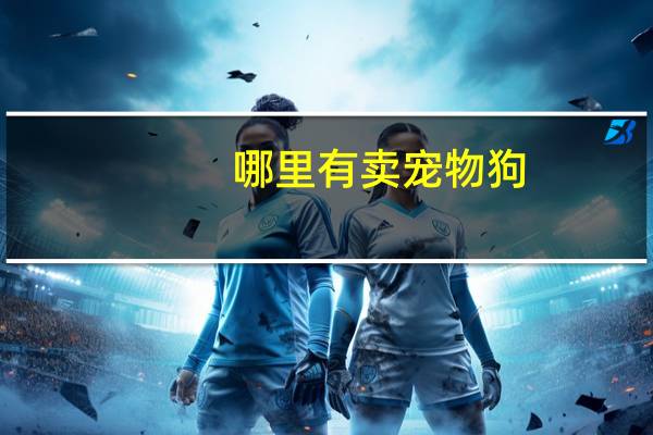 哪里有卖宠物狗