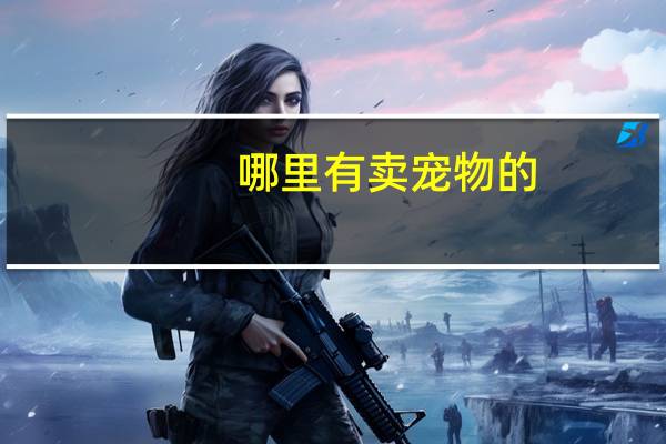 哪里有卖宠物的
