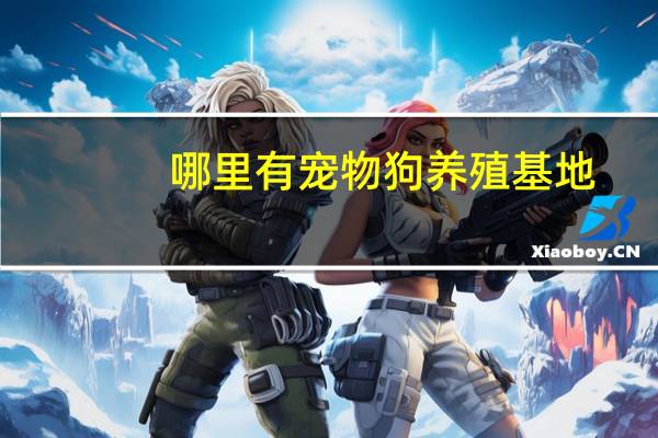 哪里有宠物狗养殖基地