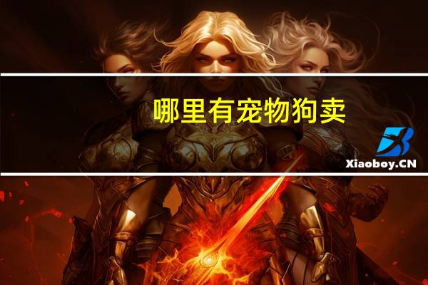 哪里有宠物狗卖