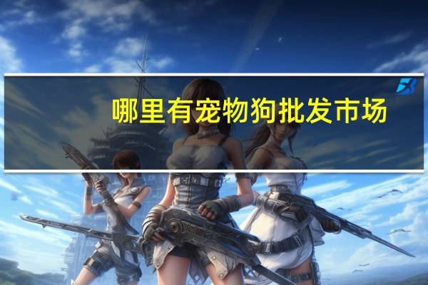 哪里有宠物狗批发市场
