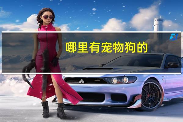 哪里有宠物狗的