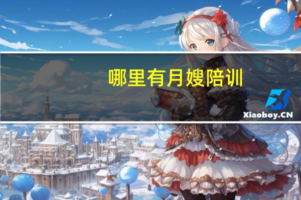 哪里有月嫂陪训